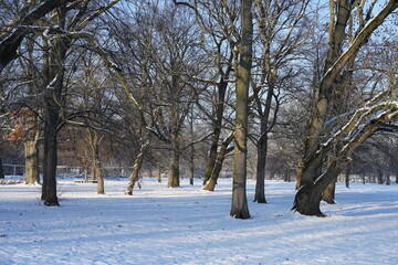 Winterlandschaft des Treptower Parks in Berlin an einem sonnigen Morgen