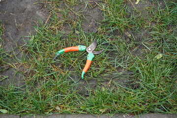 Pruner lying on the grass garden tool