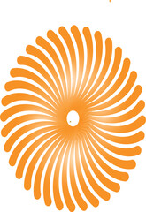 Abstract orange sunburst design element on a white background viewed from directly above