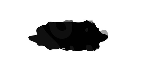 3D vector illustration of an isolated black sea urchin and seashell silhouette on a white background representing a geographic map symbol or abstract country state icon © Md