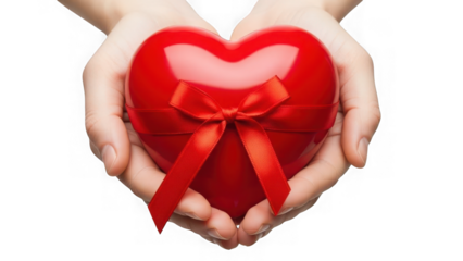 Hands holding red heart with ribbon isolated on transparent background