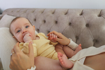 Baby chewing her fingers on mother's lap. opy space, background.