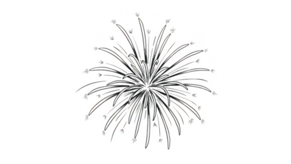 Abstract starburst diagram isolated on transparent background