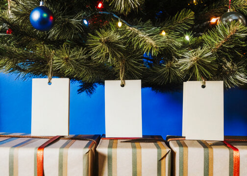 three boxes under a christmas tree