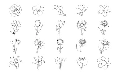 A minimalist collection of twenty black and white floral illustrations on a clean white background