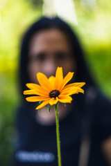 Piękny kwiat Rudbekia błyskotliwa