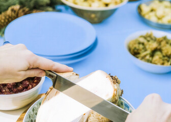 a person cutting a sandwich with a knife