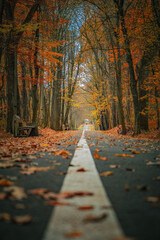 Park im. Powstańc&oacute;w Śląskich w Zabrzu