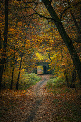 Alejka parkowa jesienią