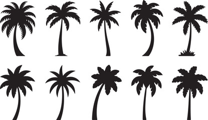 Obraz premium Palm silhouettes