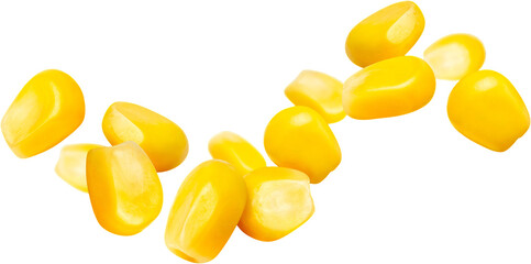 corn isolated on white background