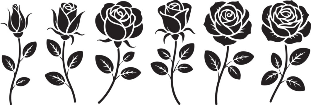 Set of decorative rose with leaves. Flower silhouette Vector illustration