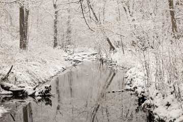 Rzeka płynąca przez las w zimowej scenerii