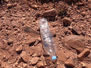 A plastic bottle lying on the ground, Plastic environmental impact
