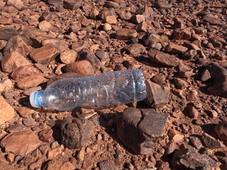 A plastic bottle lying on the ground, Plastic environmental impact