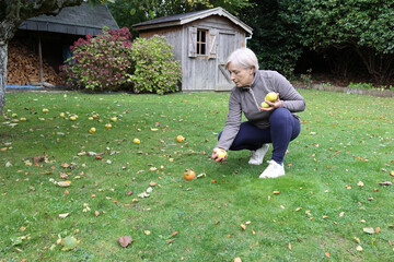 A retired woman gathers fallen apples in her peaceful garden.