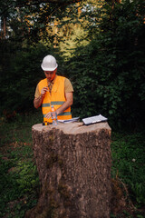 Forest engineer taking notes on tree trunk after deforestation