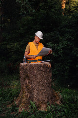 Forest engineer examining plans on tree stump