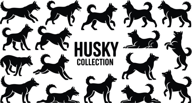 A comprehensive collection of Siberian husky dog silhouettes showing various poses and actions