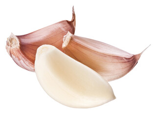 garlic on a white background