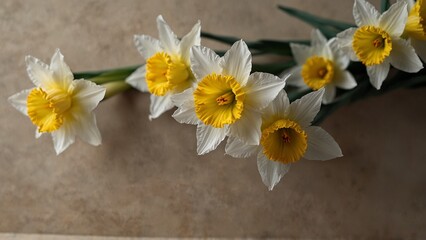 Obraz premium Yellow and white daffodils on beige textured background