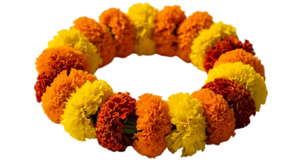 Marigold flower garland on transparent background