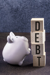  Financial difficulties illustrated with piggy bank and debt