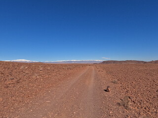 Dirt Road Through Desert Landscape