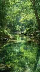 Serene forest creek with lush greenery reflecting in calm water