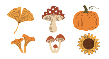 Set of autumn-themed illustrations including ginkgo leaves, various mushrooms, an orange pumpkin, and a bright sunflower head.