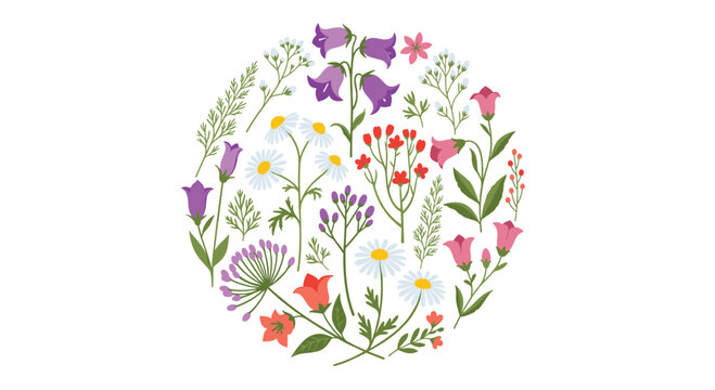 Circular arrangement of diverse colorful wildflowers and meadow plants creating a beautiful botanical composition on a white background.