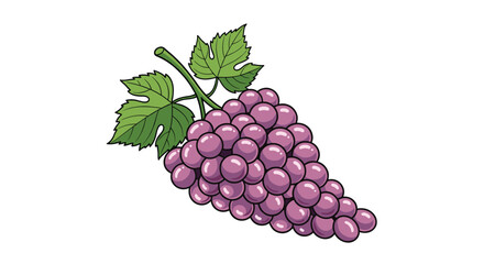 Fototapeta premium Large bunch of ripe purple grapes with green leaves and a vine is illustrated in a detailed and realistic style.