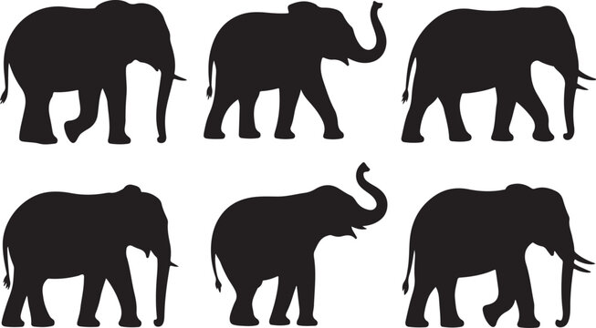 Elephant silhouettes