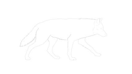 Stylized Wolf Silhouette with Dotted Outline on Dark Field