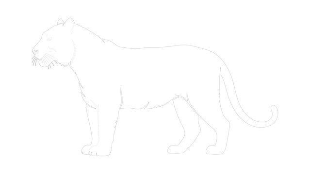 Silhouette of Lion Standing in Profile with Dotted Outline