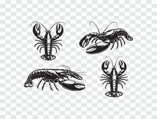 Monochrome Collection of Stylized Lobster and Crayfish Illustrations Seafood Line Art Vector Pack &ndash; Fish, Octopus, Squid & Shells