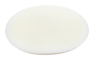 Serving white plate with culinary delights at gourmet restaurant isolated on transparent background