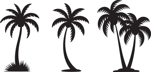 Tropical coconut, palm tree silhouette