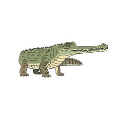 Naklejka premium Cute cartoon green tyrannosaurus rex dinosaur vector illustration of a fun jurassic reptile isolated as a wild animal art drawing