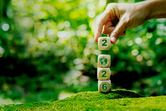 Sustainable environment development goals and visions planning business growth for Next Year 2026.