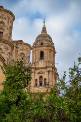 Obraz premium View of Cathedral of Málaga tower (Santa Iglesia Catedral Basílica de la Encarnación) with orange tree, Malaga, Andalusia, Spain. Roman Catholic church. Religious concept.