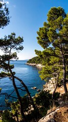 Coastal view through pine trees (1)