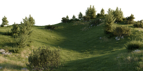 Lush Green Pine Forest Hillside on transparent background. 3D rendering. 