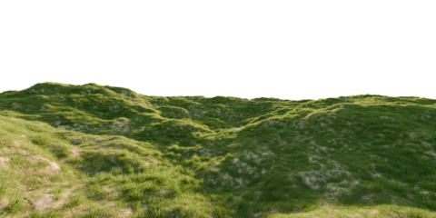 Hills with grass on a transparent background. 3D rendering.	
