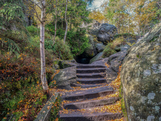 Góry Stołowe. Szlak ze Szczelińca Wielkiego.