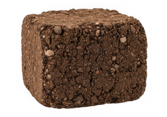 Dark chocolate truffle