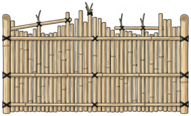 Traditional bamboo fence structure with vertical slats and horizontal beams secured by black ties
