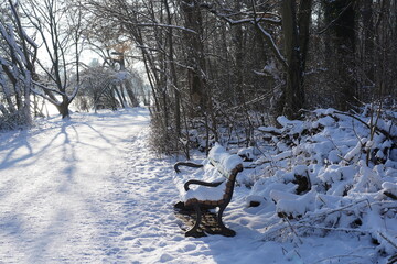 Verschneiter Wanderweg am Pl&auml;nterwald in Berlin mit Parkbank und langen Schatten