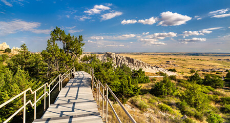Cliff Shelf Nature Trail stands in Badlands National Park, South Dakota, USA. Wooden boardwalk stairs wind through green juniper trees and rocky formations overlooking the prairie under a blue sky