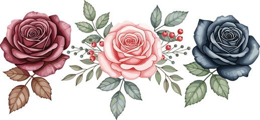 Set of elegant burgundy pink and navy blue roses with green leaves and red berries isolated on white background for romantic floral vector design.
